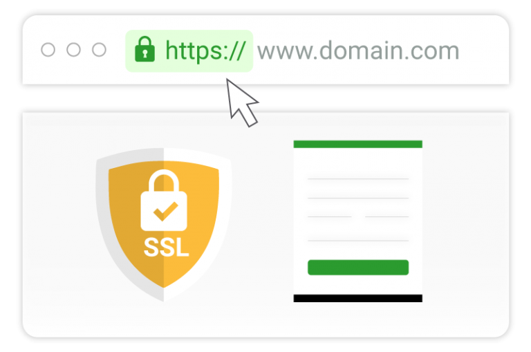 What is the SSL certificate warranty?
