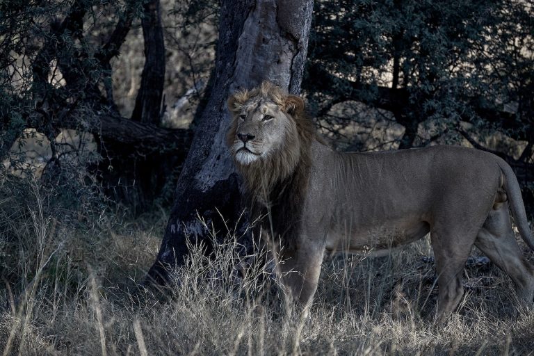 5 Tips For Travelling to Zimbabwe in December