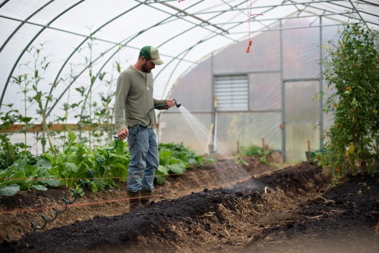 How to Start a Small Farm in Zimbabwe