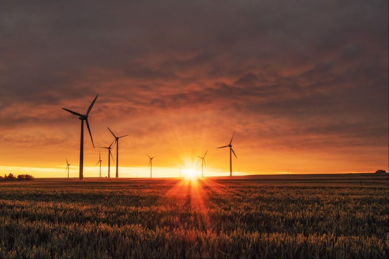 Emerging industries or markets that are positioned for long-term growth.