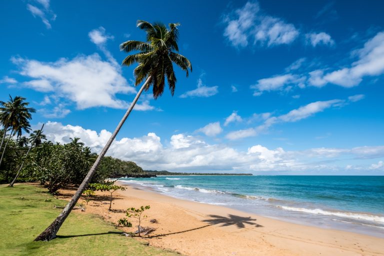 Shared Software Licenses in Dominican Republic