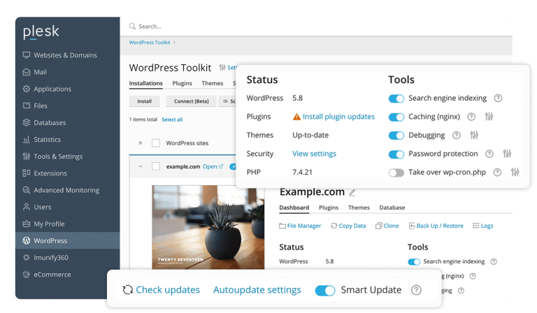Managed Plesk VPS Hosting: Power, Performance, and Unparalleled Control