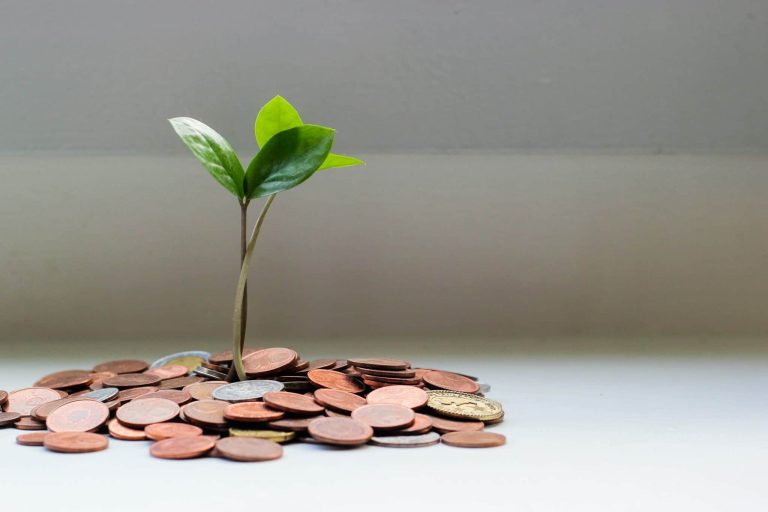 How to monetize your online business?