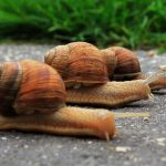 5 Mistakes That Can Slow Down Your Website (Hosting Fixes)