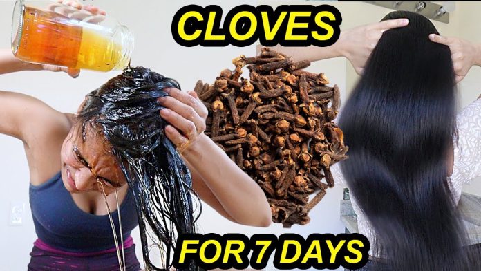 TikTok’s Clove Water Hair Rinse- Natural Growth Hack or Just Hype_ TikTok’s Clove Water Hair Rinse: Natural Growth Hack or Just Hype?