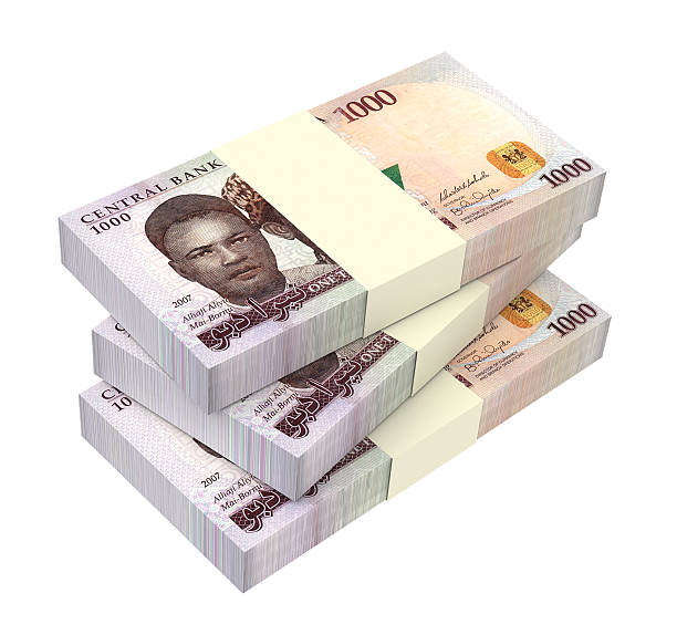 Naira to Millions: Smart Investment Strategies for Young Nigerians