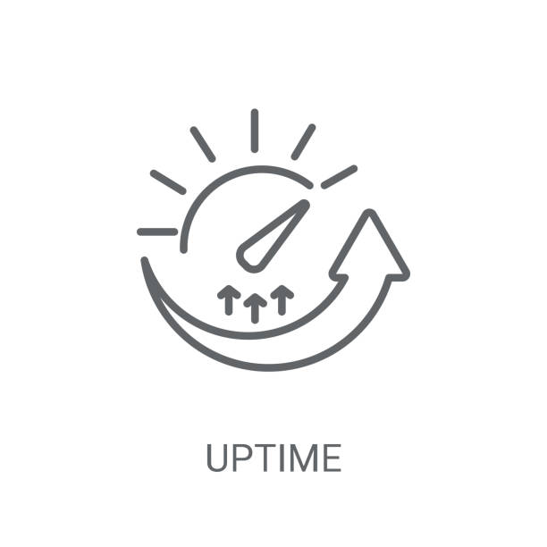Uptime vs. Price: A Transparent Study of Budget Hosting Providers