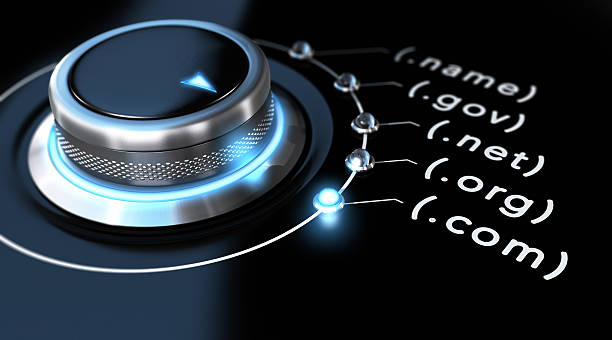 WHOIS Explained – Understanding Domain Registration Information