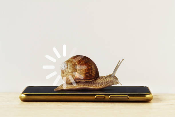 Why Is My Website Slow? A Diagnostic Checklist That Actually Finds the Cause