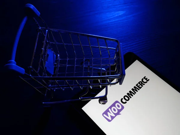 Cloudflare Pro for WooCommerce: How to Protect Your Online Store